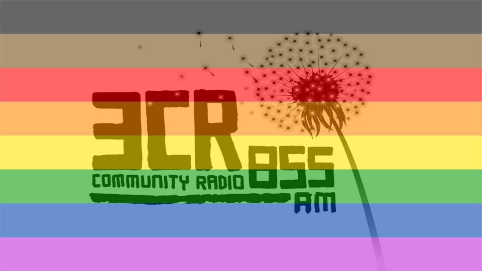 3cr Advocates For Marriage Equality 3cr Community Radio